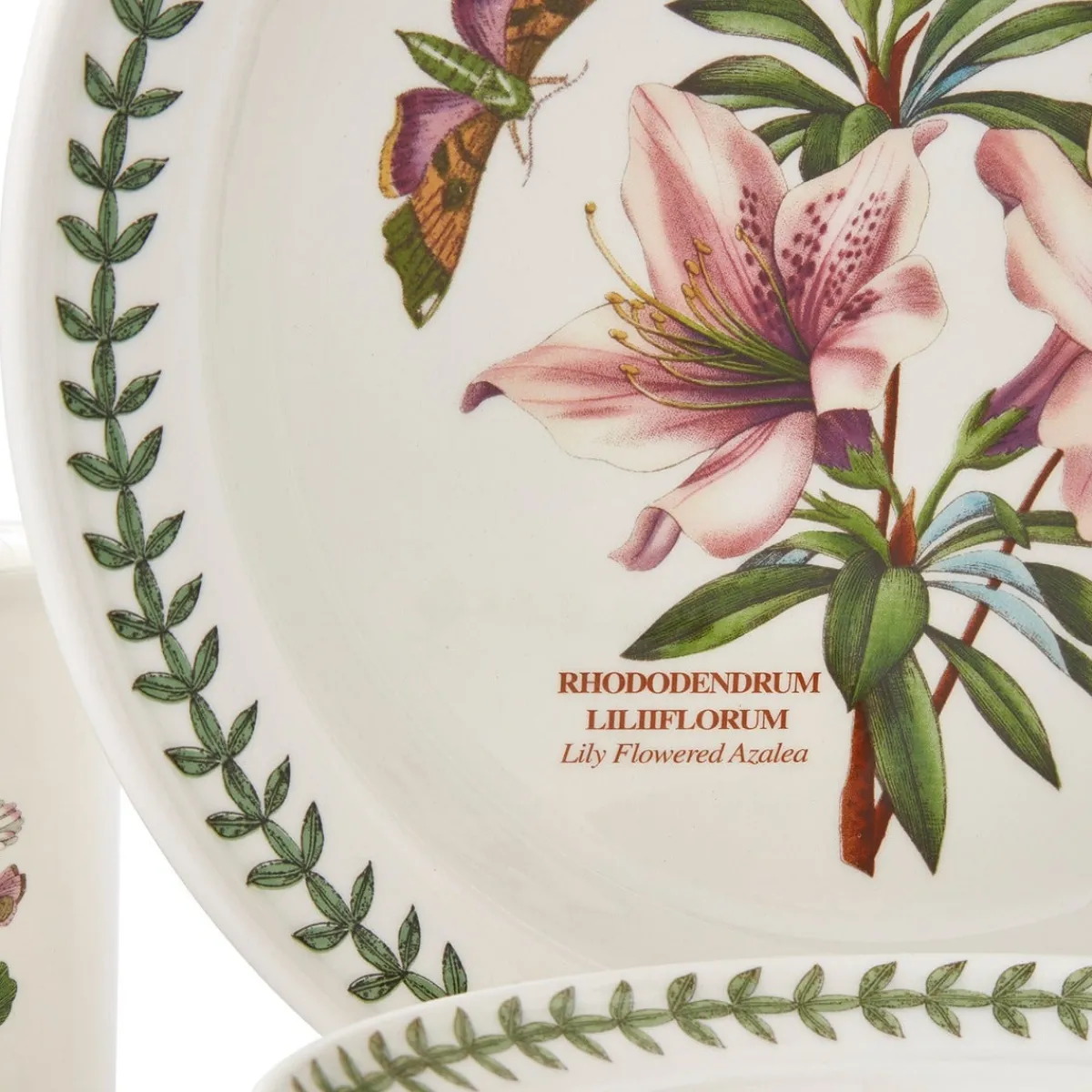 Portmeirion Botanic Garden 16 Piece Dinner Set Outlet