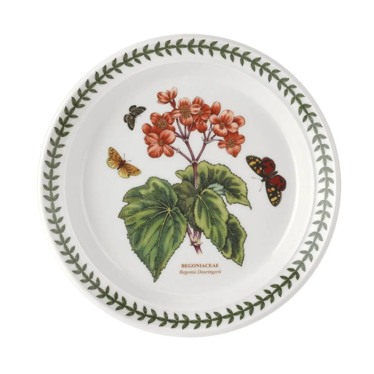 Portmeirion Botanic Garden Begonia Plate, 20cm Best