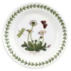 Portmeirion Botanic Garden Daisy Side Plate Hot
