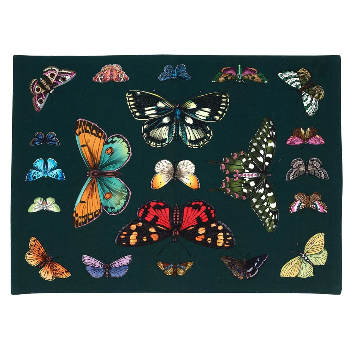 Pimpernel Botanic Garden Harmony Textile Placemat Best