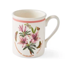 Portmeirion Botanic Garden Meadow Breakfast Mug, Azalea Online