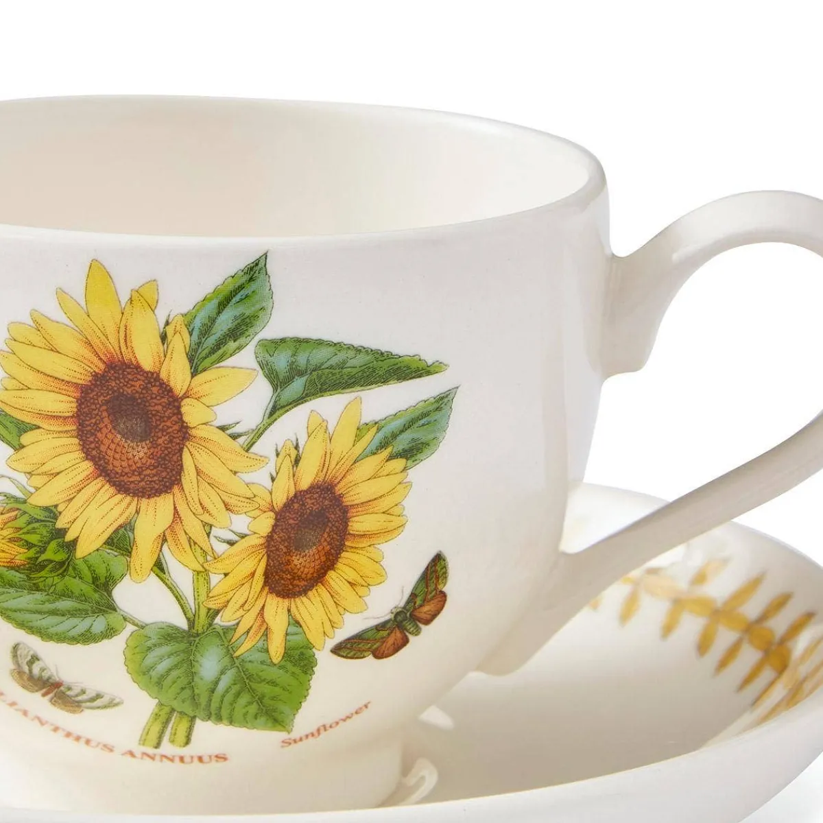 Portmeirion Botanic Garden Meadow Breakfast Teacup & Saucer, Sunflower Hot