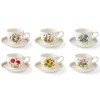 Portmeirion Botanic Garden Meadow Set of 6 Breakfast Teacups & Saucers, Assorted Hot