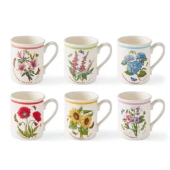 Portmeirion Botanic Garden Meadow Set of 6 Breakfast Mugs, Assorted Best