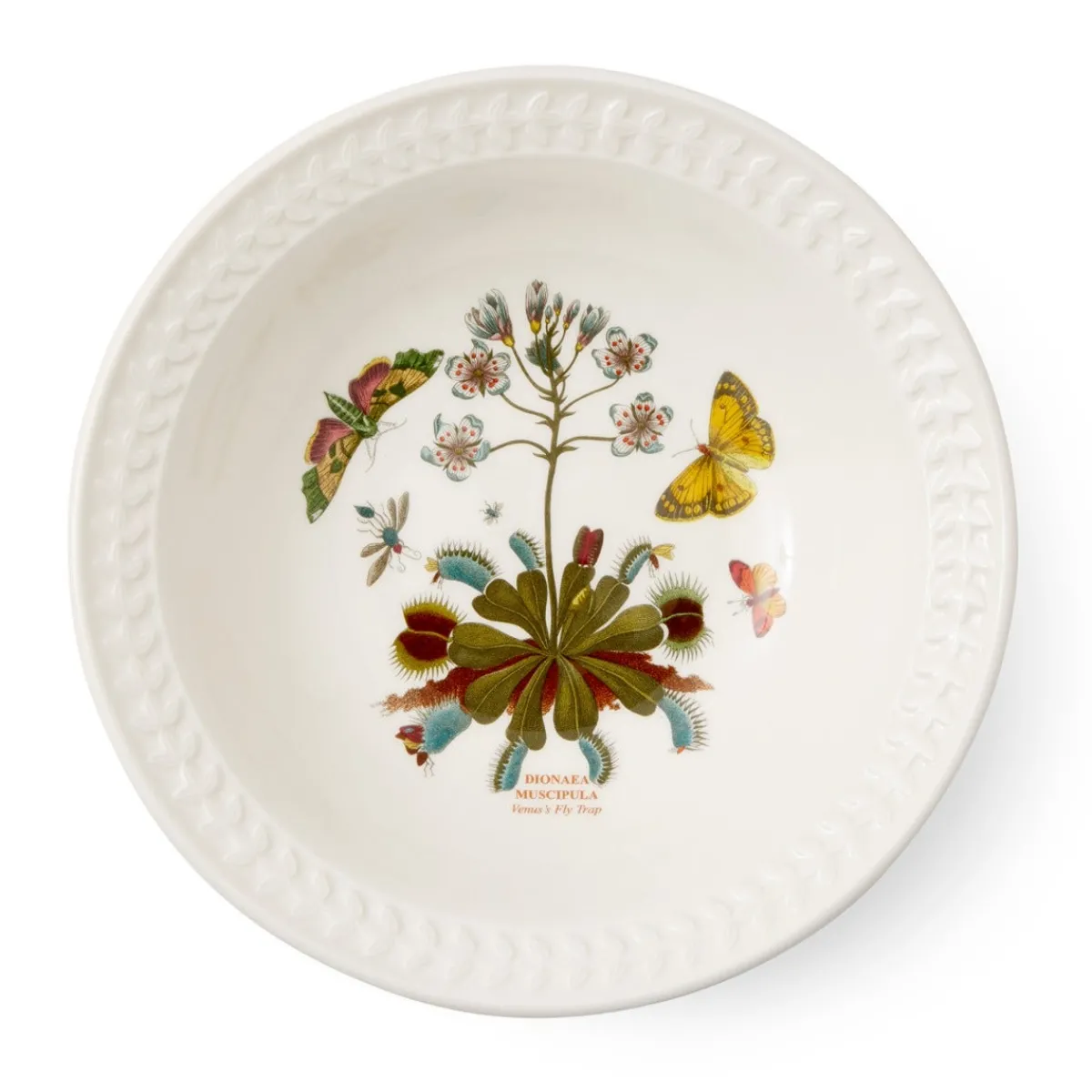 Portmeirion Botanic Garden Papilio Amber Pasta Bowl Outlet