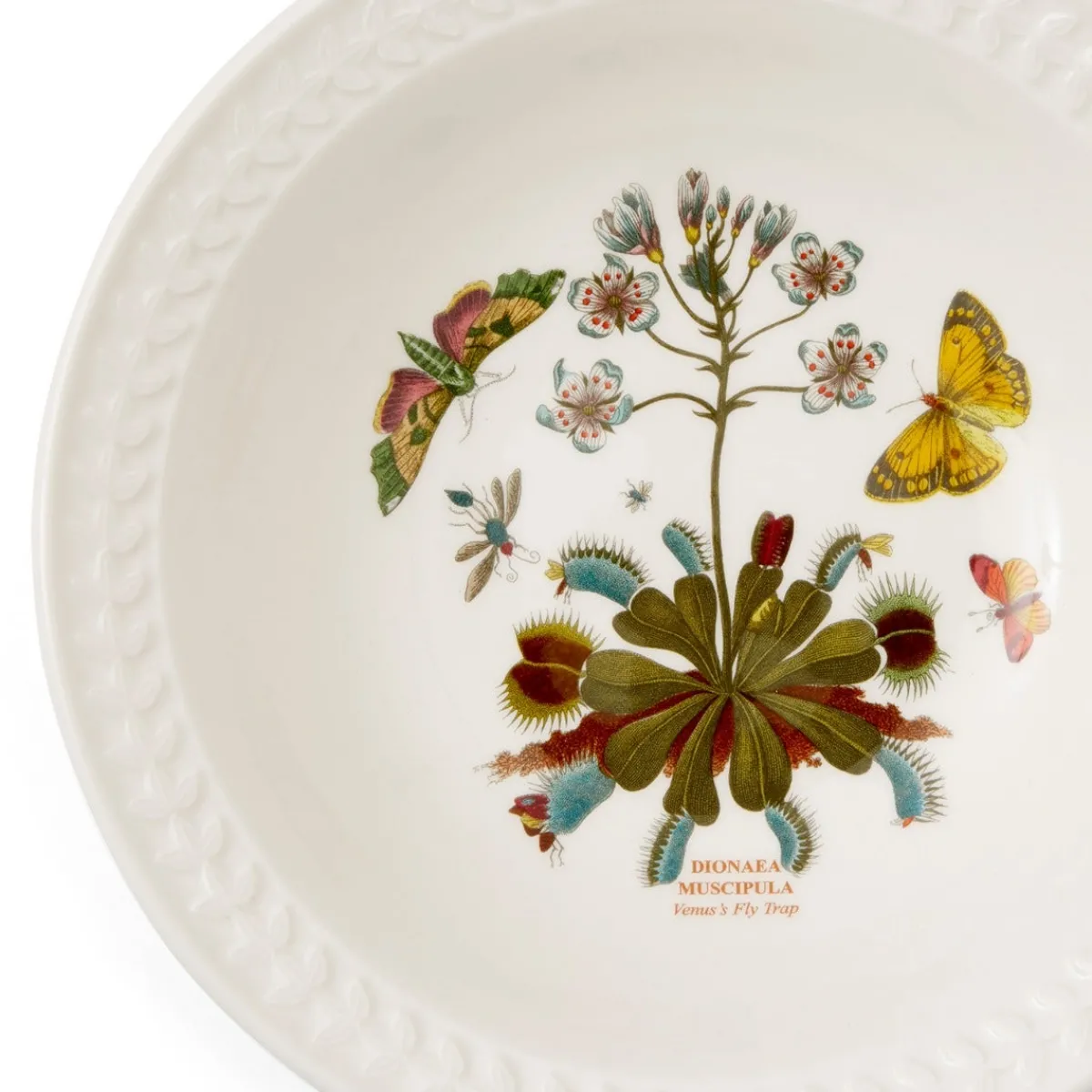 Portmeirion Botanic Garden Papilio Amber Pasta Bowl Outlet