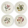 Portmeirion Botanic Garden Papilio set of 4 Dinner Plates New
