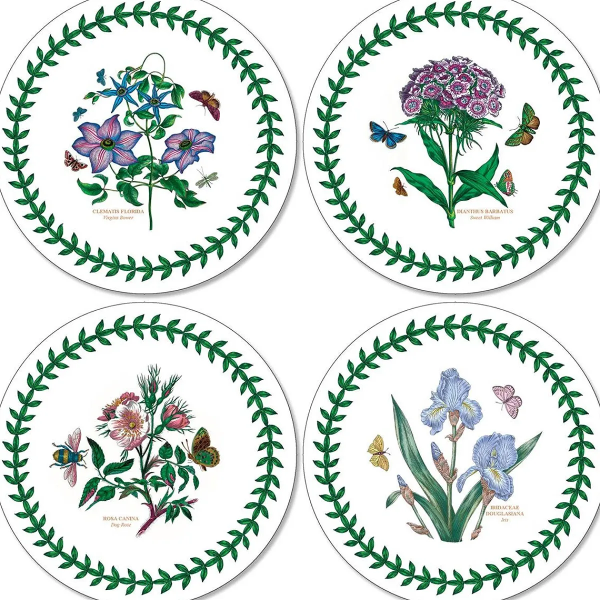Pimpernel Botanic Garden Set of 4 Round Coasters Sale