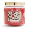 Colony Cinnamon Bakes Medium Candle Online