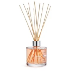 Colony Pumpkin Spice Diffuser 200ml Clearance