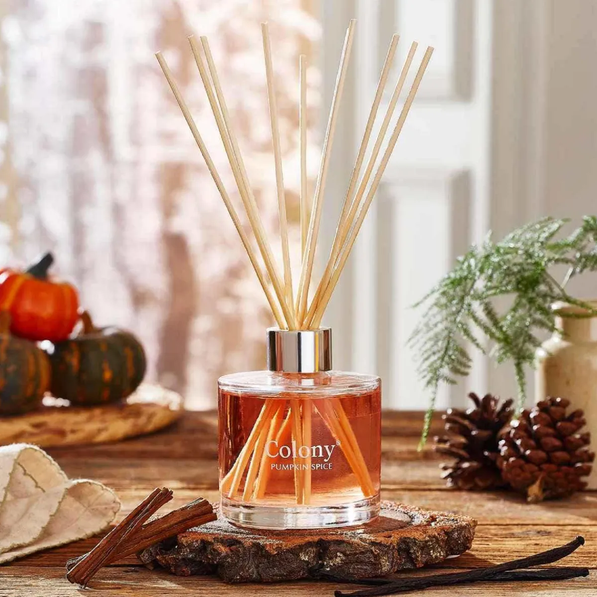 Colony Pumpkin Spice Diffuser 200ml Clearance
