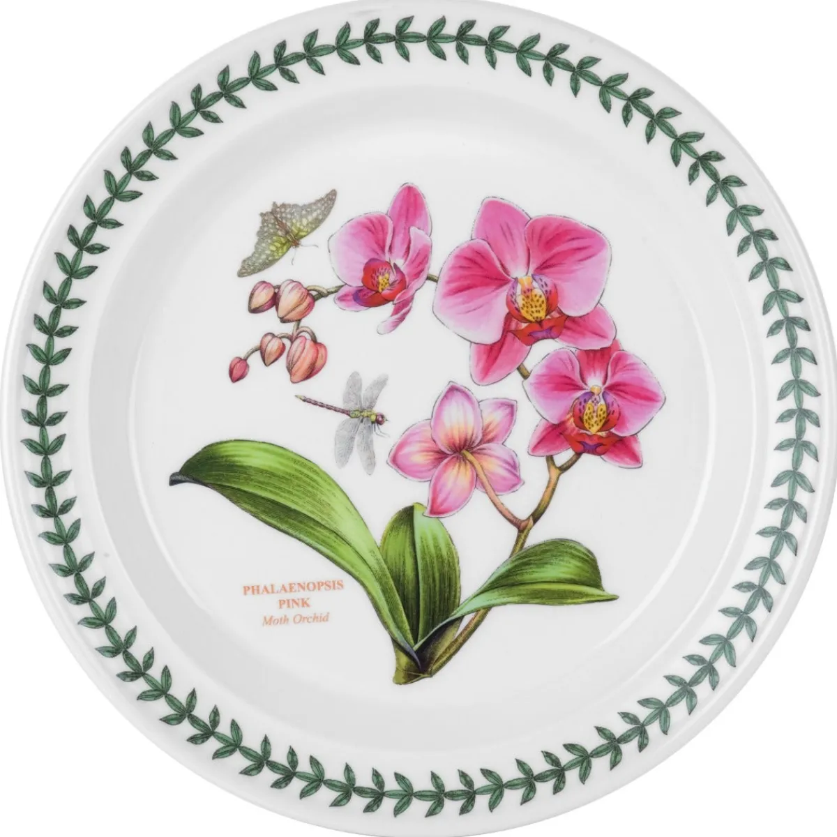Portmeirion Exotic Botanic Garden Set of 6 Dinner Plates Fashion