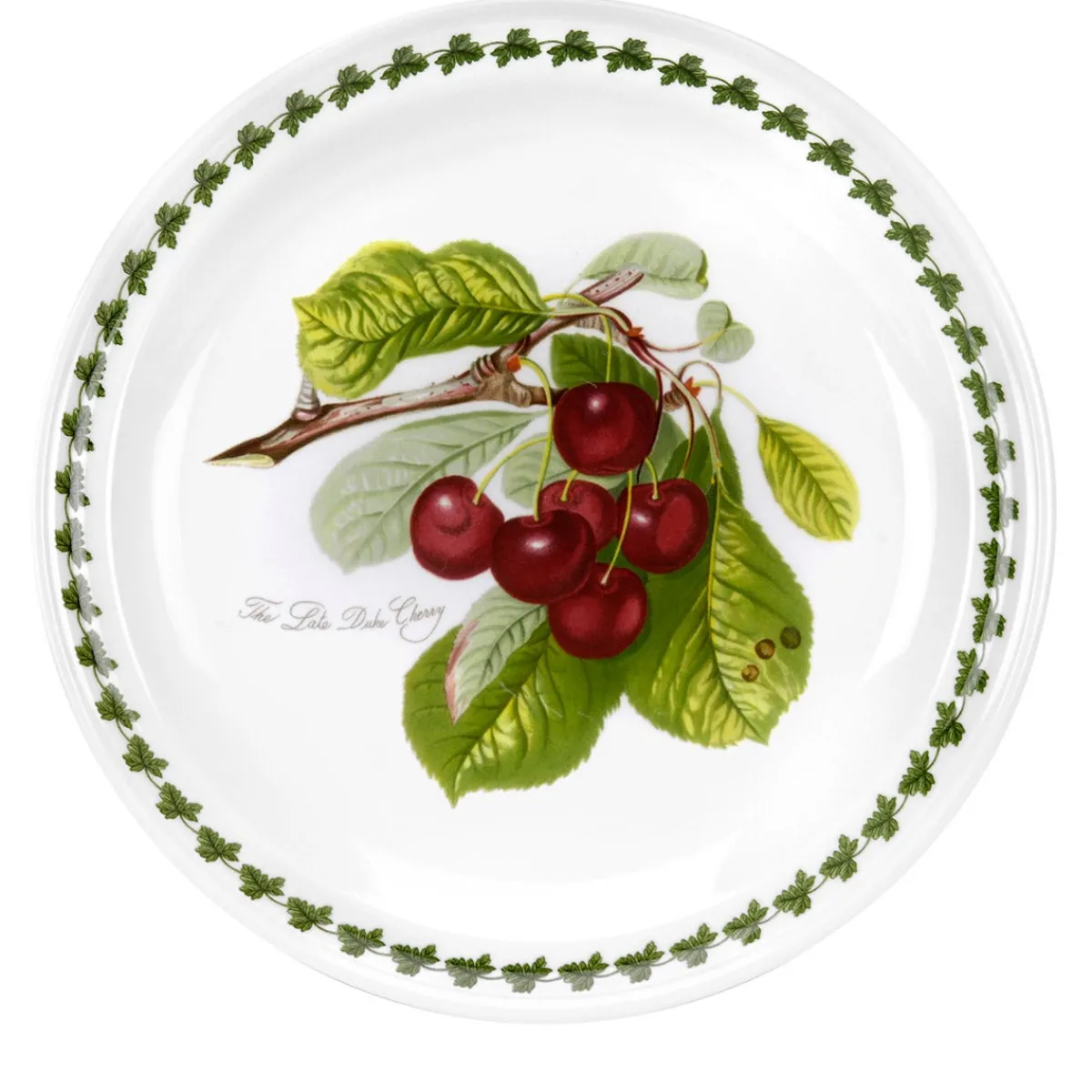 Portmeirion Pomona Cherry Dinner Plate New