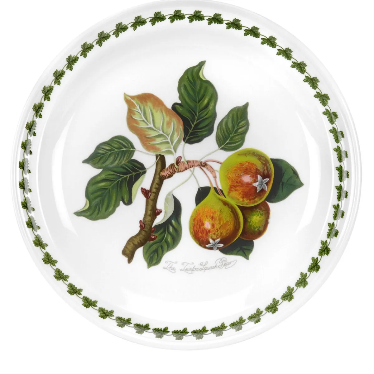 Portmeirion Pomona Pear Dinner Plate Discount