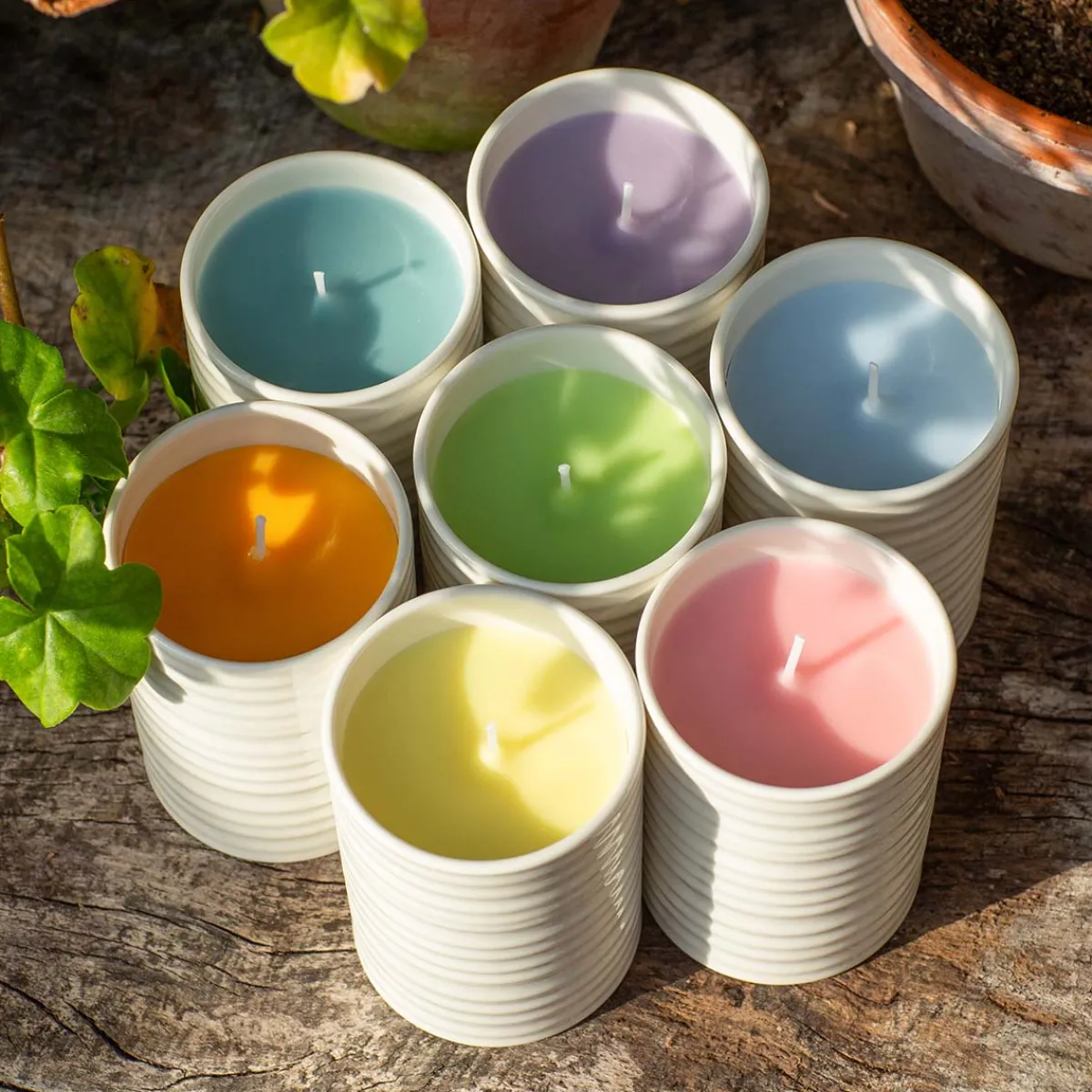 Sophie Conran Clary Sage & Juniper Candle Online