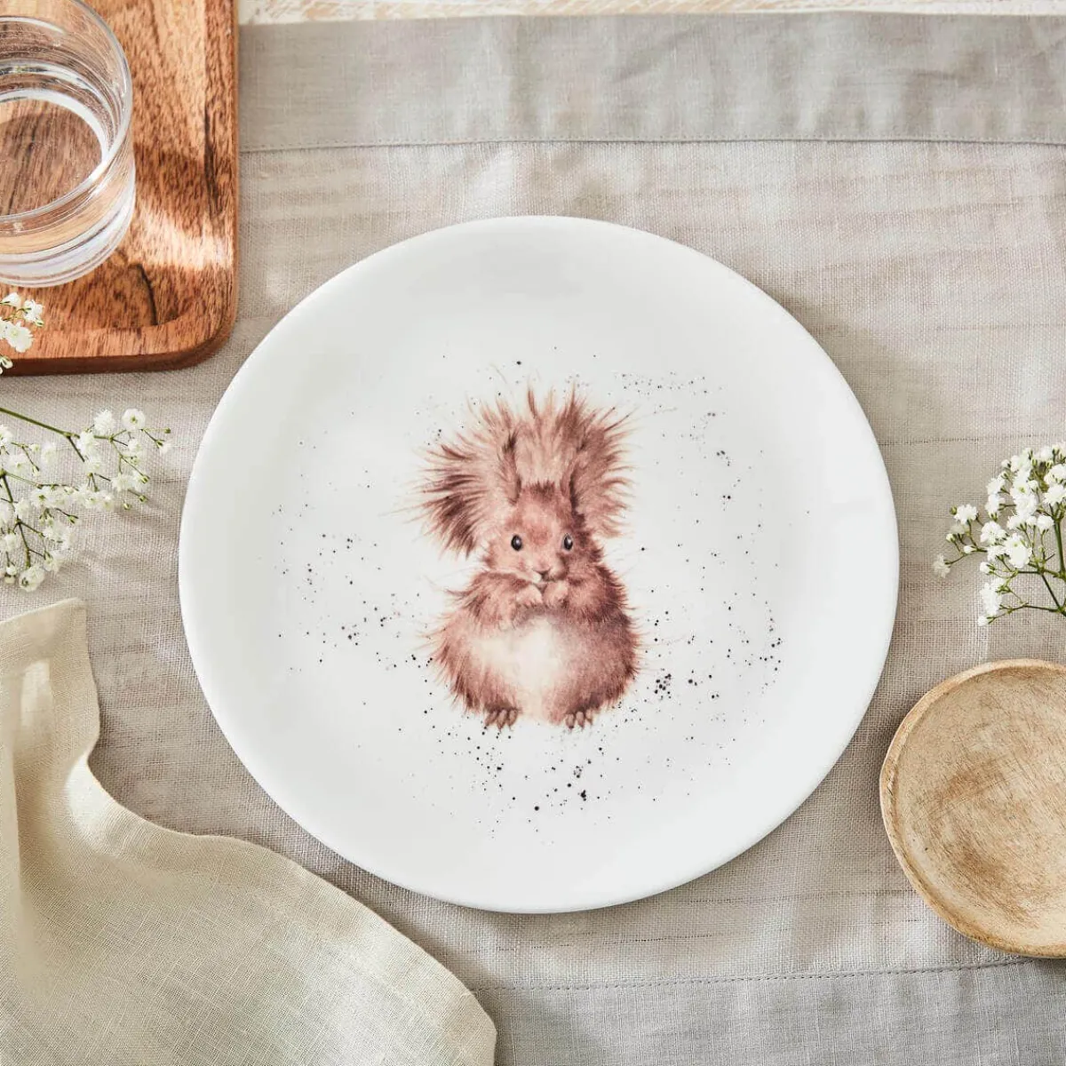 Royal Worcester Wrendale Designs 4 Squirrel Coupe Plates,20cm Fashion