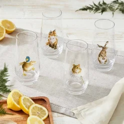 Royal Worcester Wrendale Designs Set of 4 Highball Glasses Hot