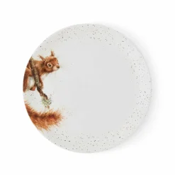 Royal Worcester Wrendale Designs Squirrel 4 Coupe Plates,26cm New