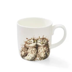 Royal Worcester Wrendale Designs The Twits Owls Large Mug New
