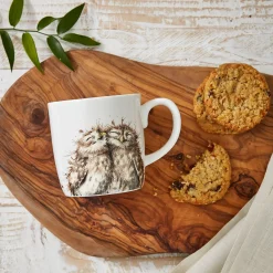Royal Worcester Wrendale Designs The Twits Owls Large Mug New