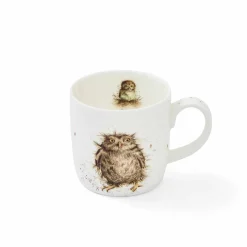 Royal Worcester Wrendale Designs What a Hoot Owl Mug New