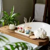 Botanic Garden Hydrangea Diffuser Refill Set Best