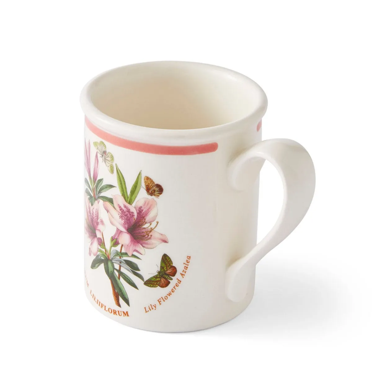 Portmeirion Botanic Garden Meadow Breakfast Mug, Azalea Online