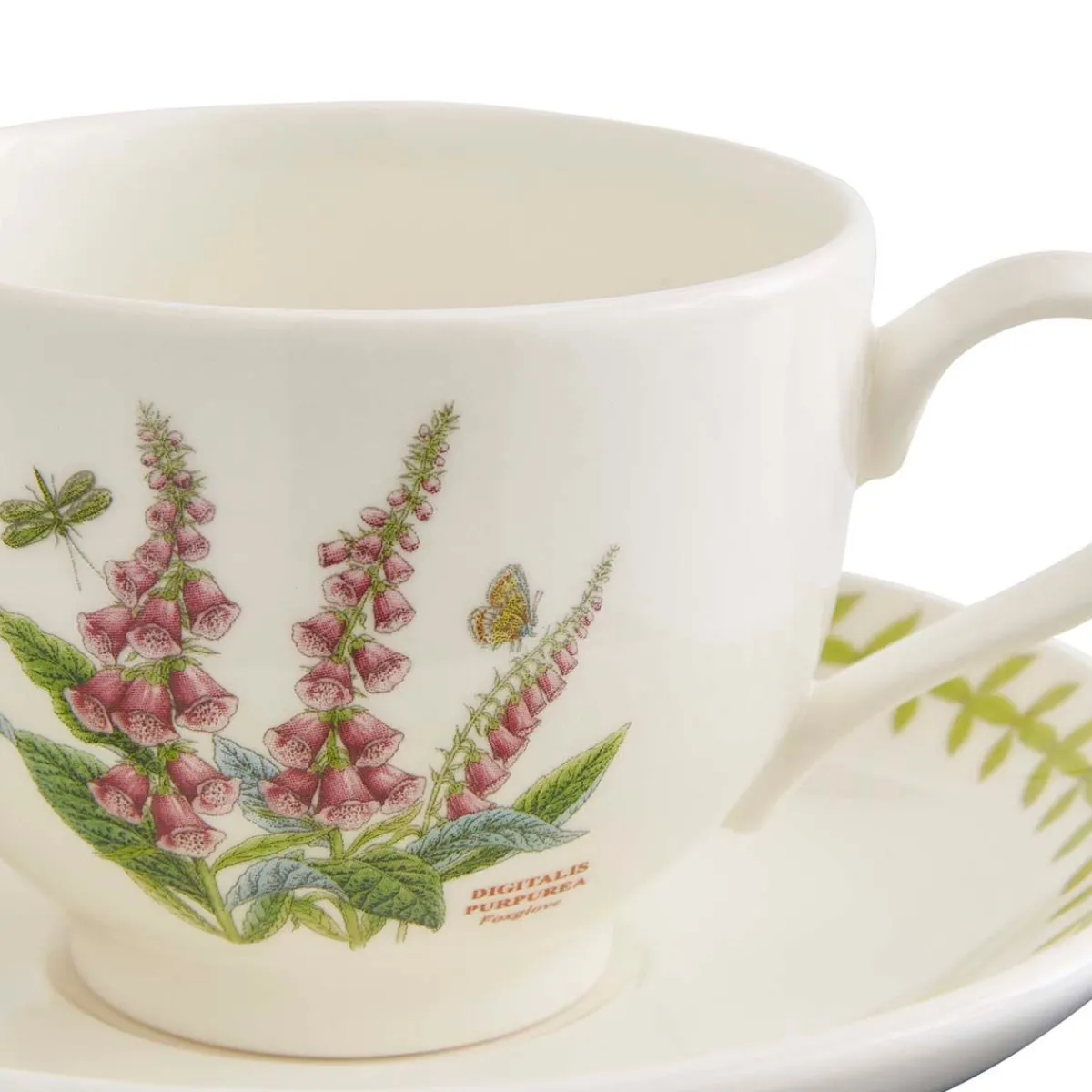 Portmeirion Botanic Garden Meadow Teacup & Saucer, Foxglove Clearance