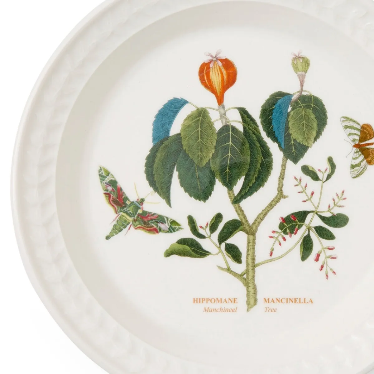 Portmeirion Botanic Garden Papilio Emerald Side Plate Outlet