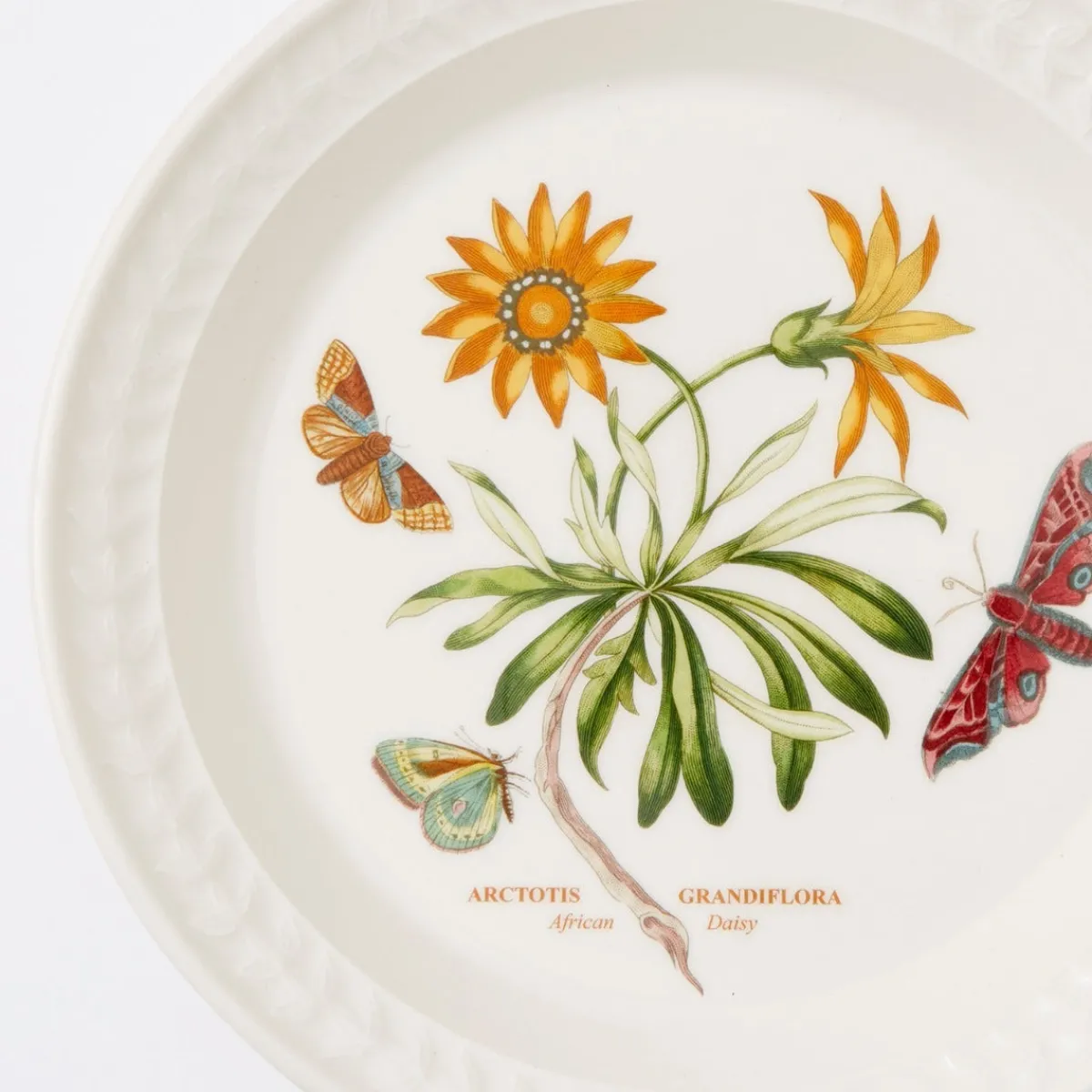 Portmeirion Botanic Garden Papilio Opal Side Plate Online