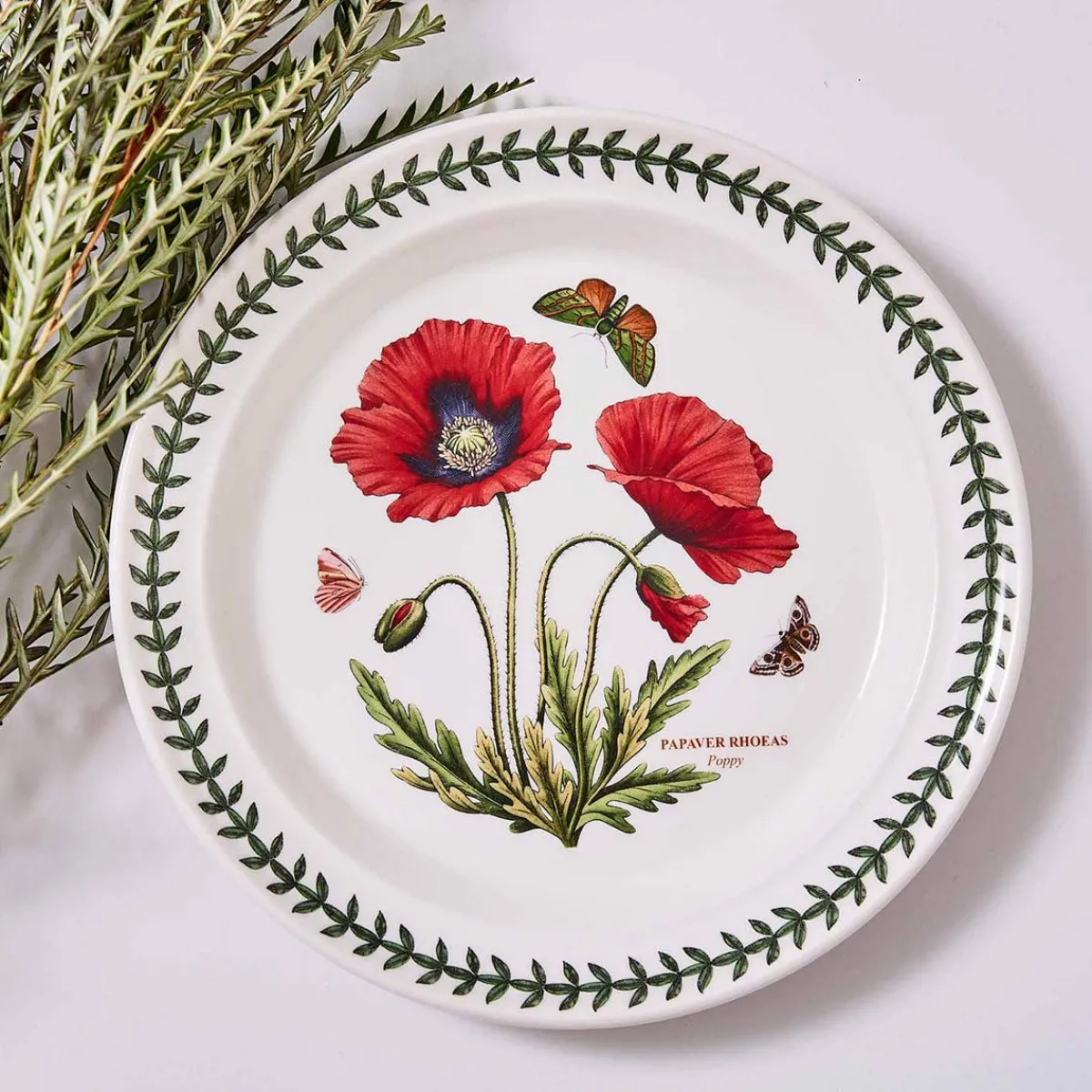 Portmeirion Botanic Garden Poppy Set of 6 Dinner Plates Outlet