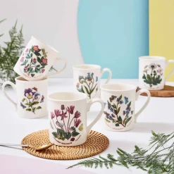 Portmeirion Botanic Garden Set of 6 Breakfast Mugs Sale