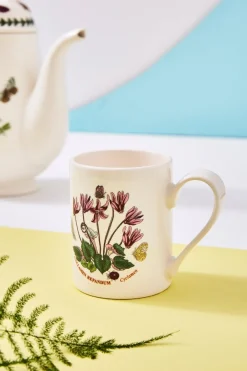 Portmeirion Botanic Garden Set of 6 Coffee Mugs Hot