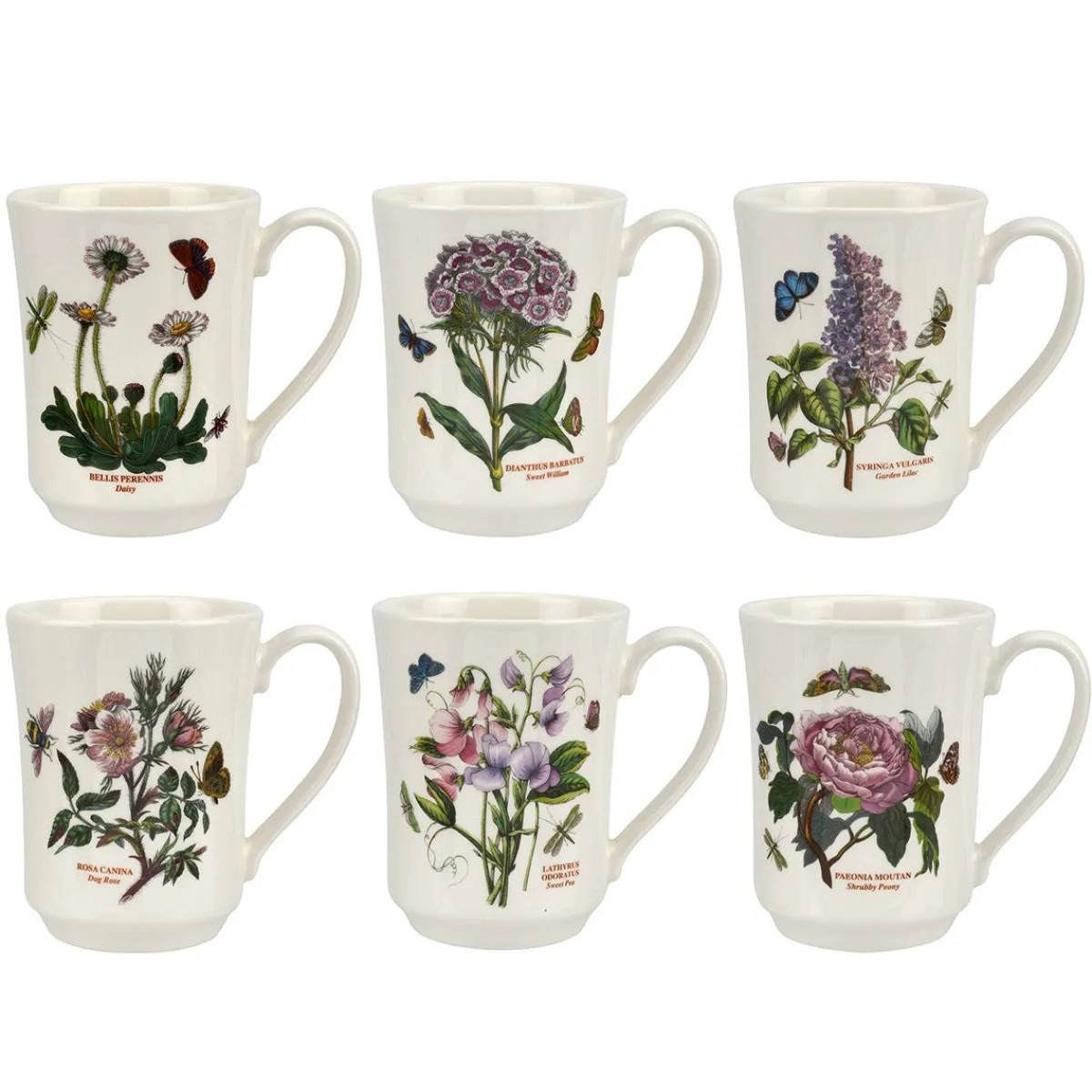 Portmeirion Botanic Garden Set of 6 Flared Tankard Mugs Fashion