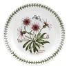 Portmeirion Botanic Garden Treasure Flower Plate, 20cm Online