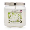Colony Jasmine & Oud Medium Candle Outlet