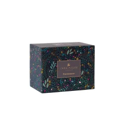 Portmeirion India Mug, Hummingbird Paradise Clearance