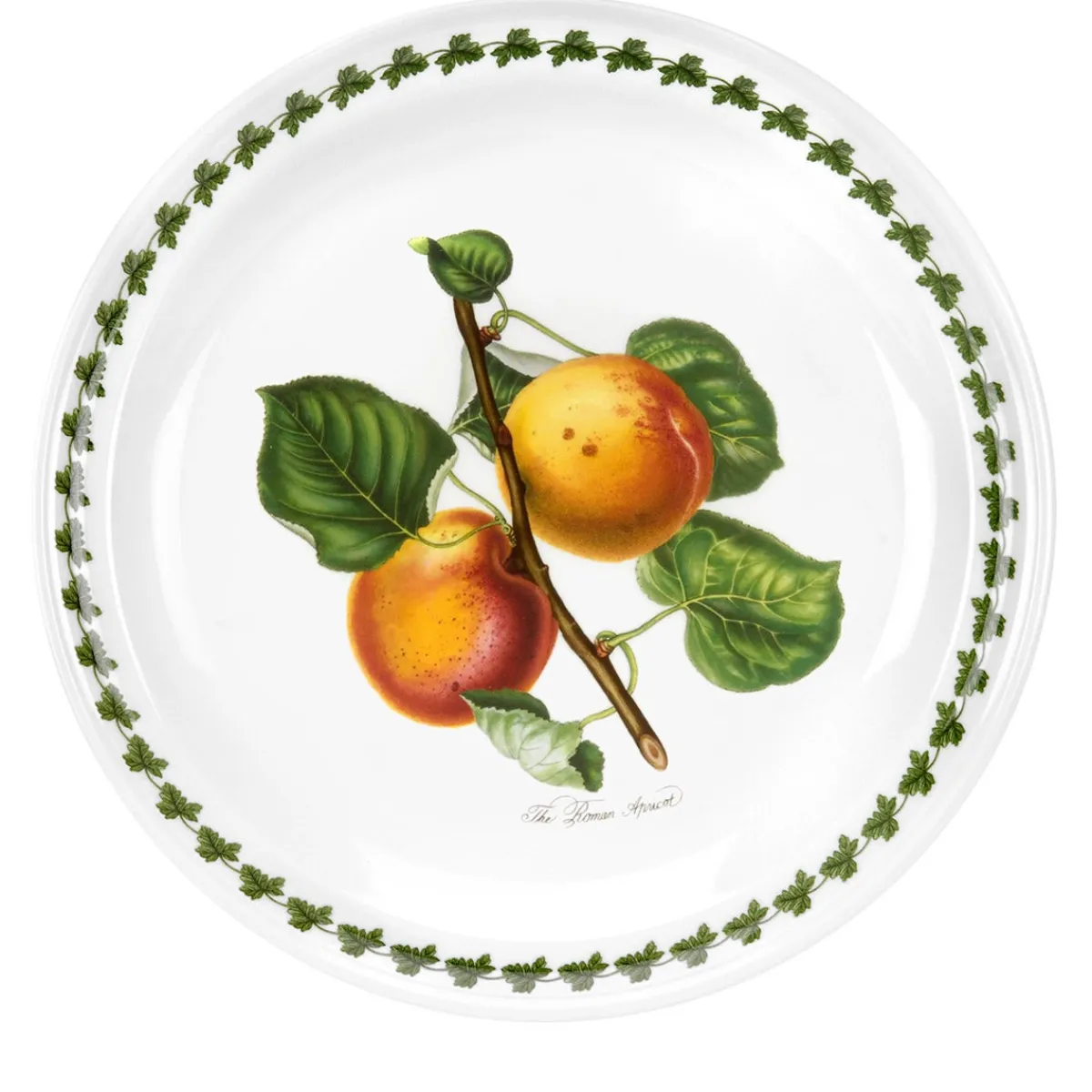 Portmeirion Pomona Apricot Dinner Plate Discount