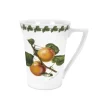 Portmeirion Pomona Apricot Mug Sale