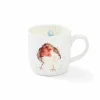Royal Worcester Wrendale Designs Garden Friend Mug Clearance
