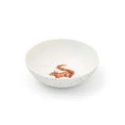 Royal Worcester Wrendale Designs Squirrel Set of 4 Bowls Hot