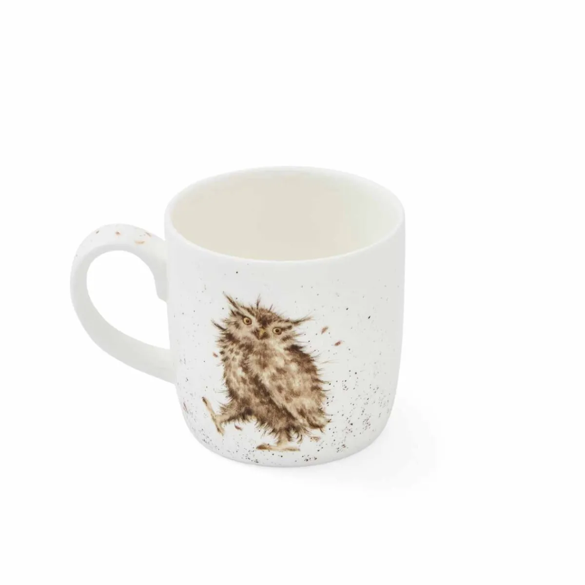 Royal Worcester Wrendale Designs What a Hoot Owl Mug New