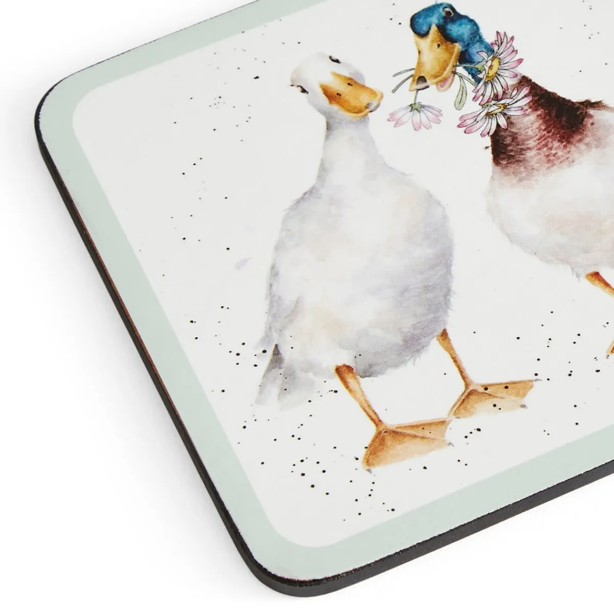 Pimpernel Wrendale Designs Wildflowers 4 Coasters New